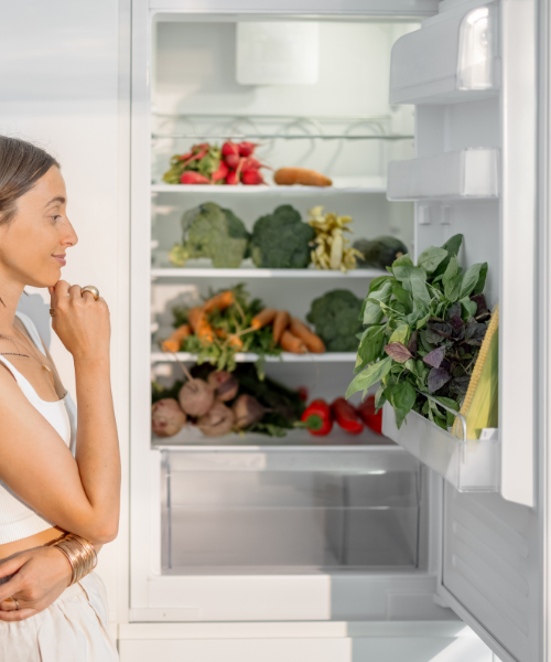 صيانة ثلاجات فريش